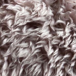 Meet your Posher, Maggie